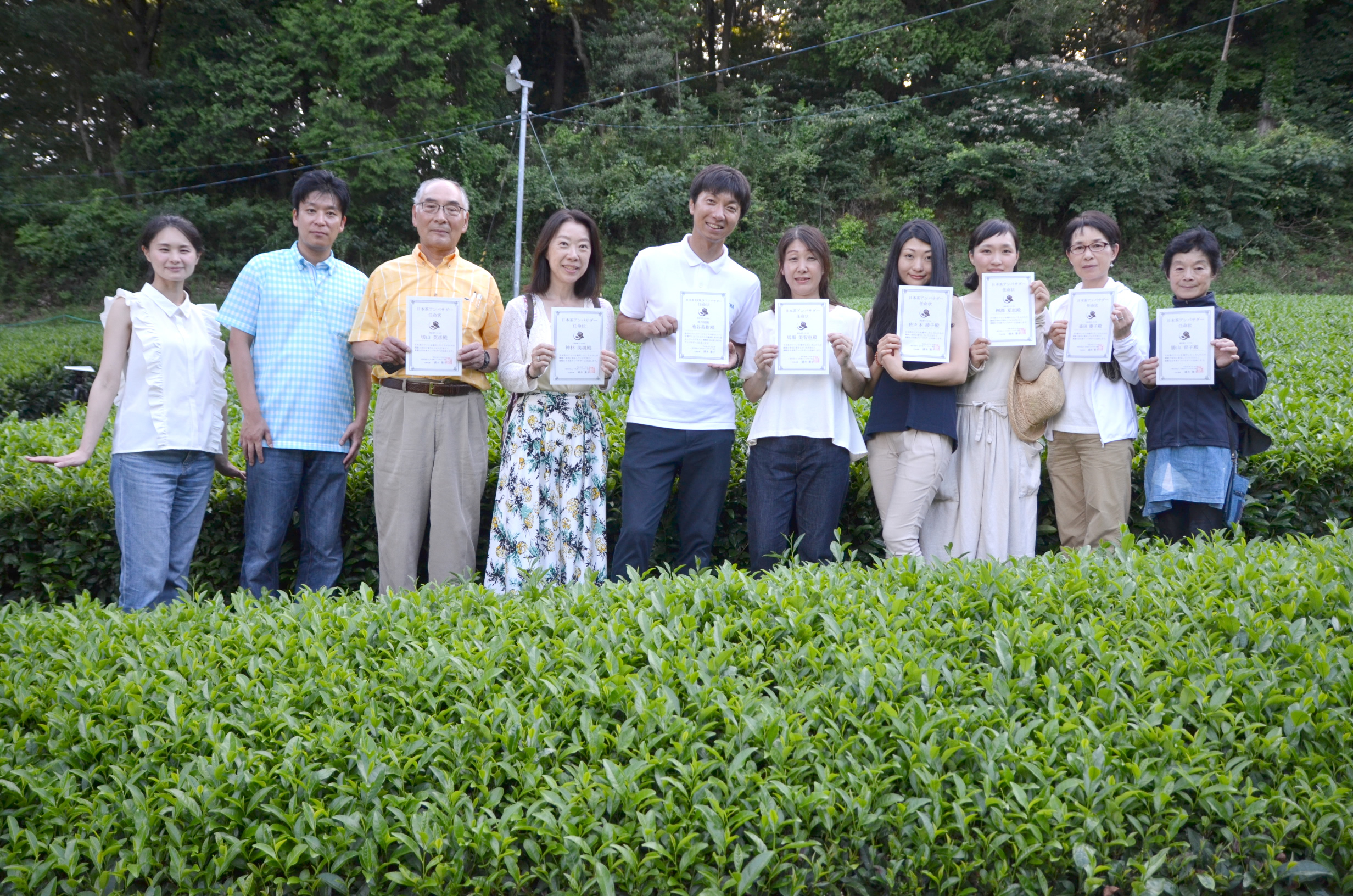 第四回 日本茶アンバサダー公募講座